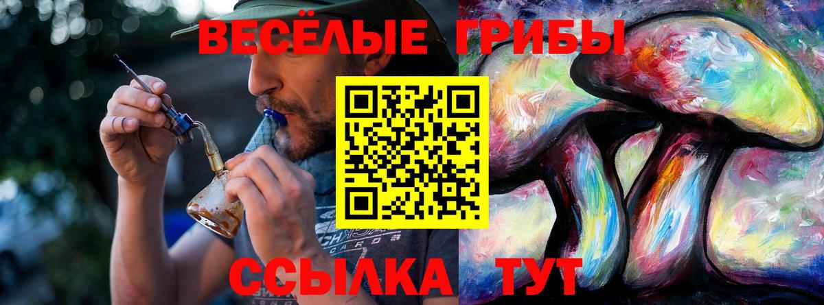 Псилоцибиновые грибы ЛСД  Вход с VPN  Усолье-Сибирское 